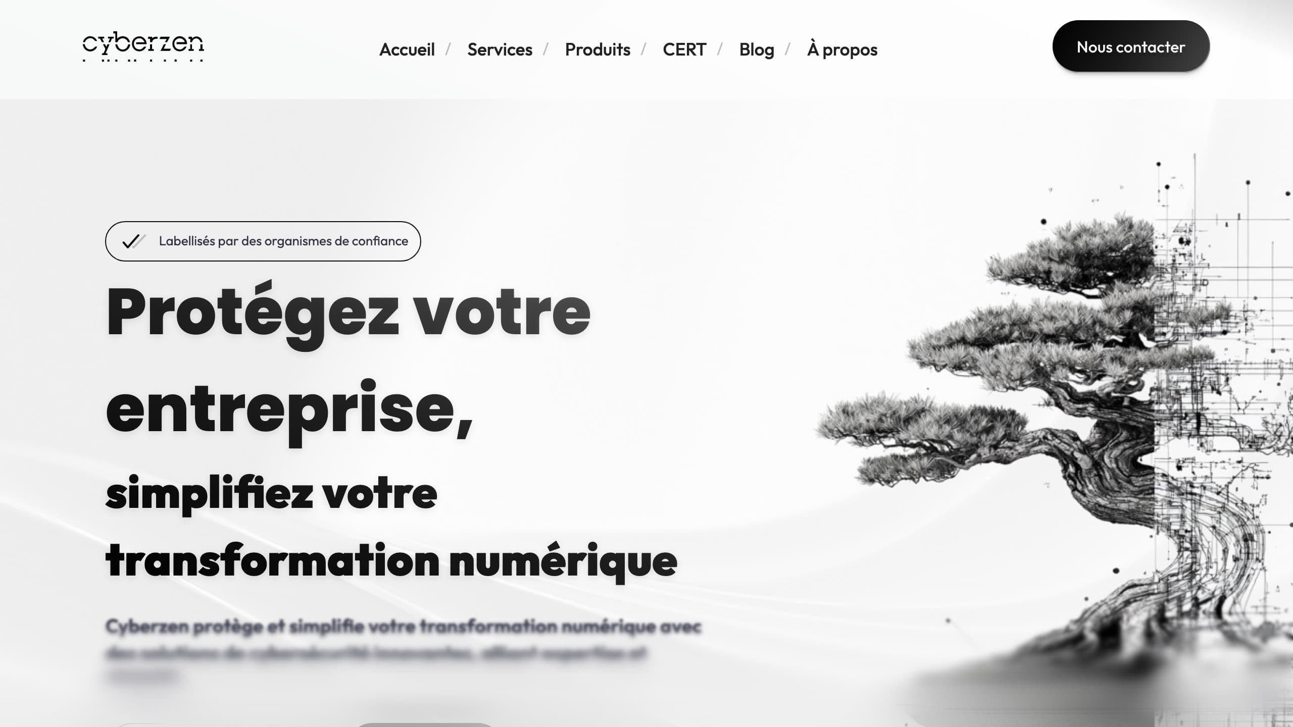 Capture d'écran du projet CyberZen